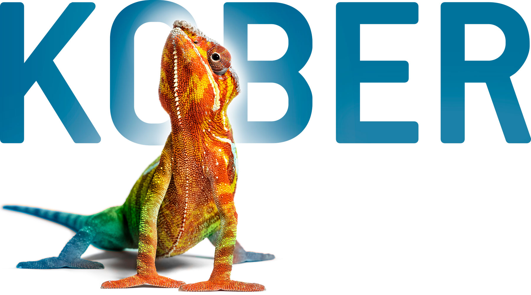 Logo und Unternehmensbild der Werbeagentur Kober.