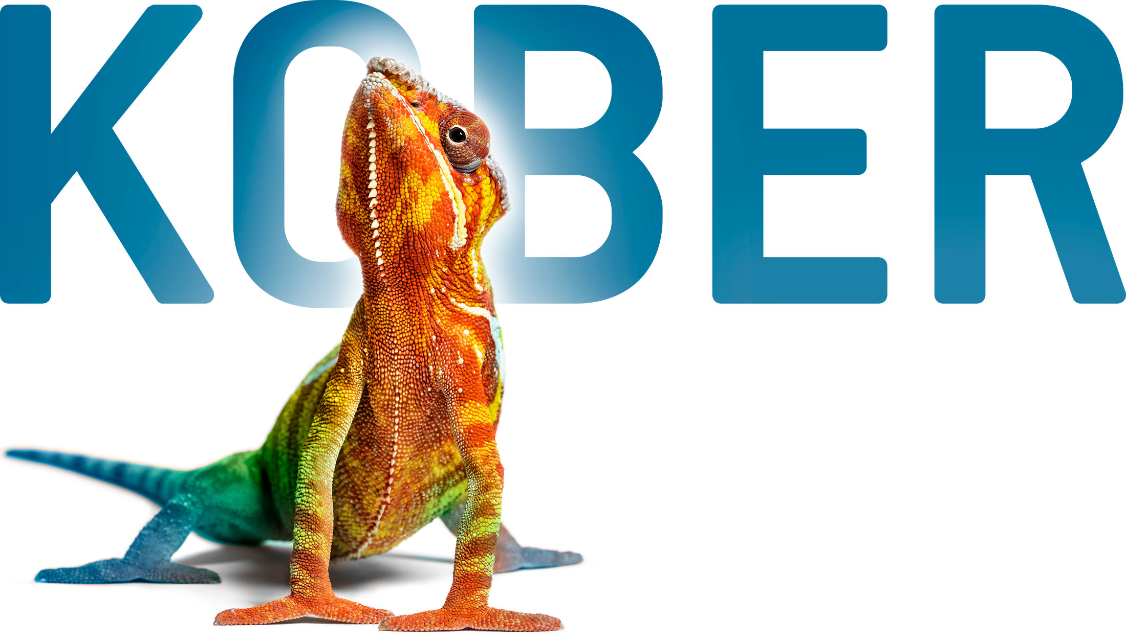 Logo und Unternehmensbild der Werbeagentur Kober.